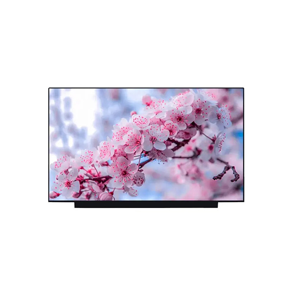 15.6 inch full color display