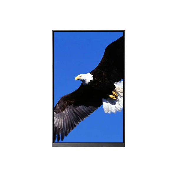 8 inch full color display