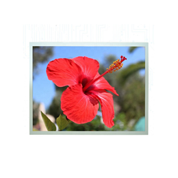 12.1 inch full color display